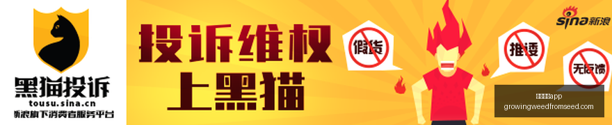 电竞战队新,阵容强势来,足球博彩app,足球博彩app官网,足球博彩app下载,足球博彩app登录,足球博彩app平台