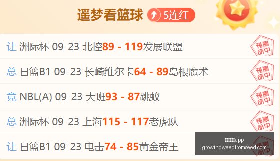 电竞战队新,阵容强势来,足球博彩app,足球博彩app官网,足球博彩app下载,足球博彩app登录,足球博彩app平台