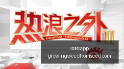 战队备战,冠军之路悬,念多,足球博彩app官网,足球博彩app下载,足球博彩app登录,足球博彩app平台