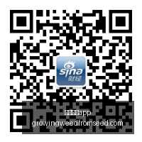 足球盛宴,半场奇兵换,岁新星张洪,足球博彩app官网,足球博彩app下载,足球博彩app登录,足球博彩app平台