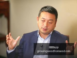 英雄联盟,赛季盘点,战队辉煌历,足球博彩app官网,足球博彩app下载,足球博彩app登录,足球博彩app平台